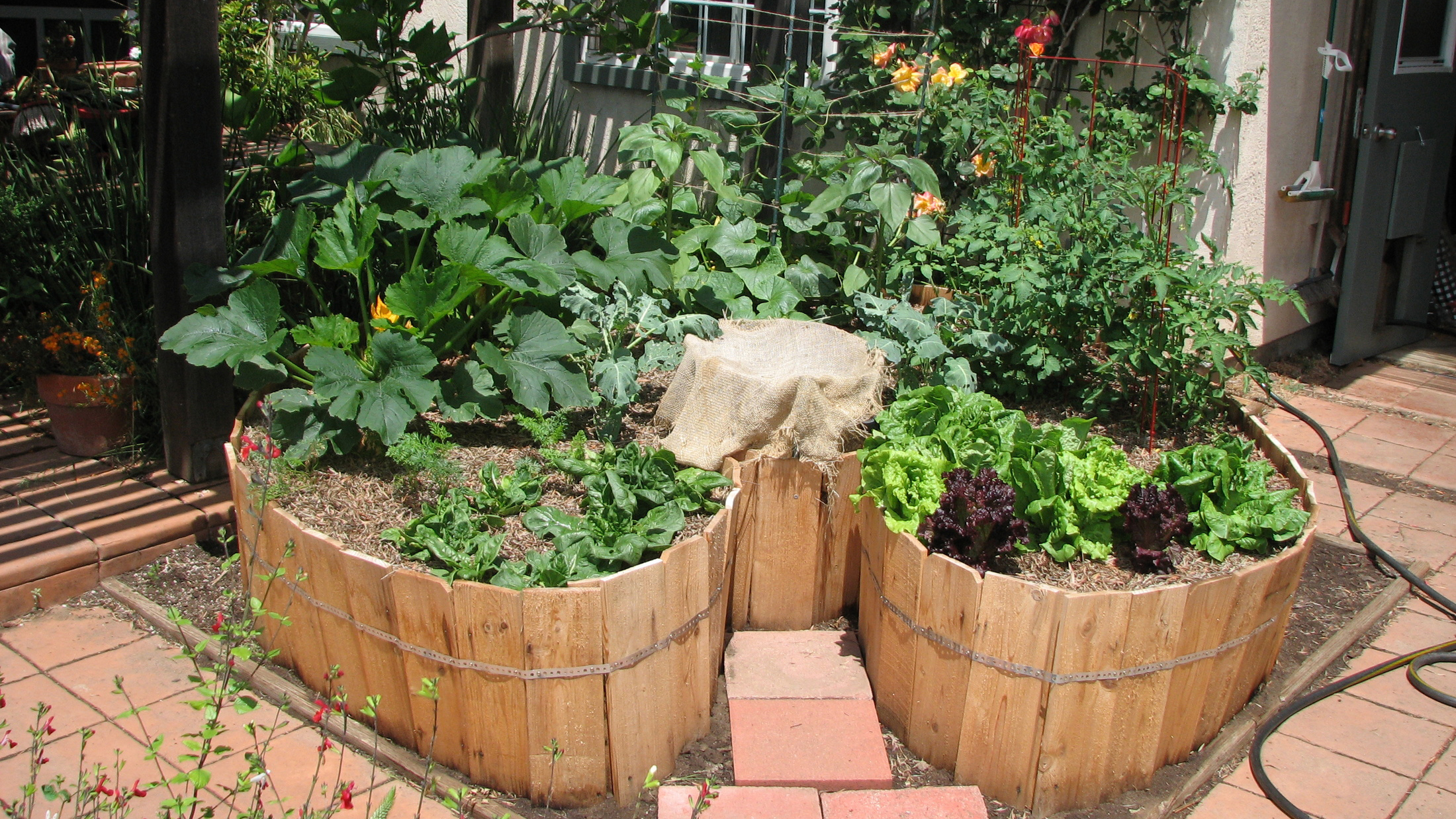 How to Build a Keyhole Garden easily and inexpensively | Sage's Acre