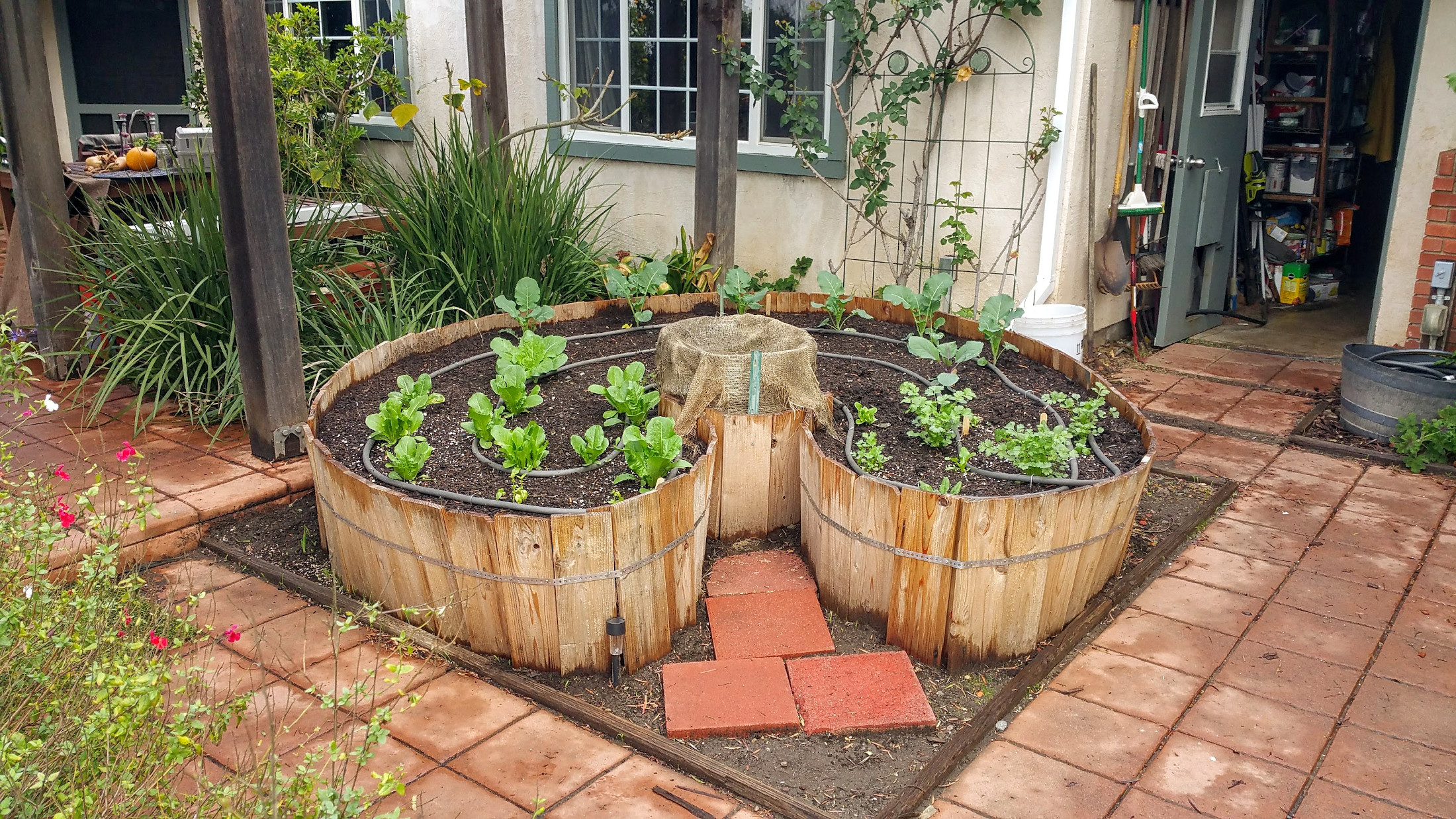 Keyhole Garden December 8, 2019 Sage's Acre