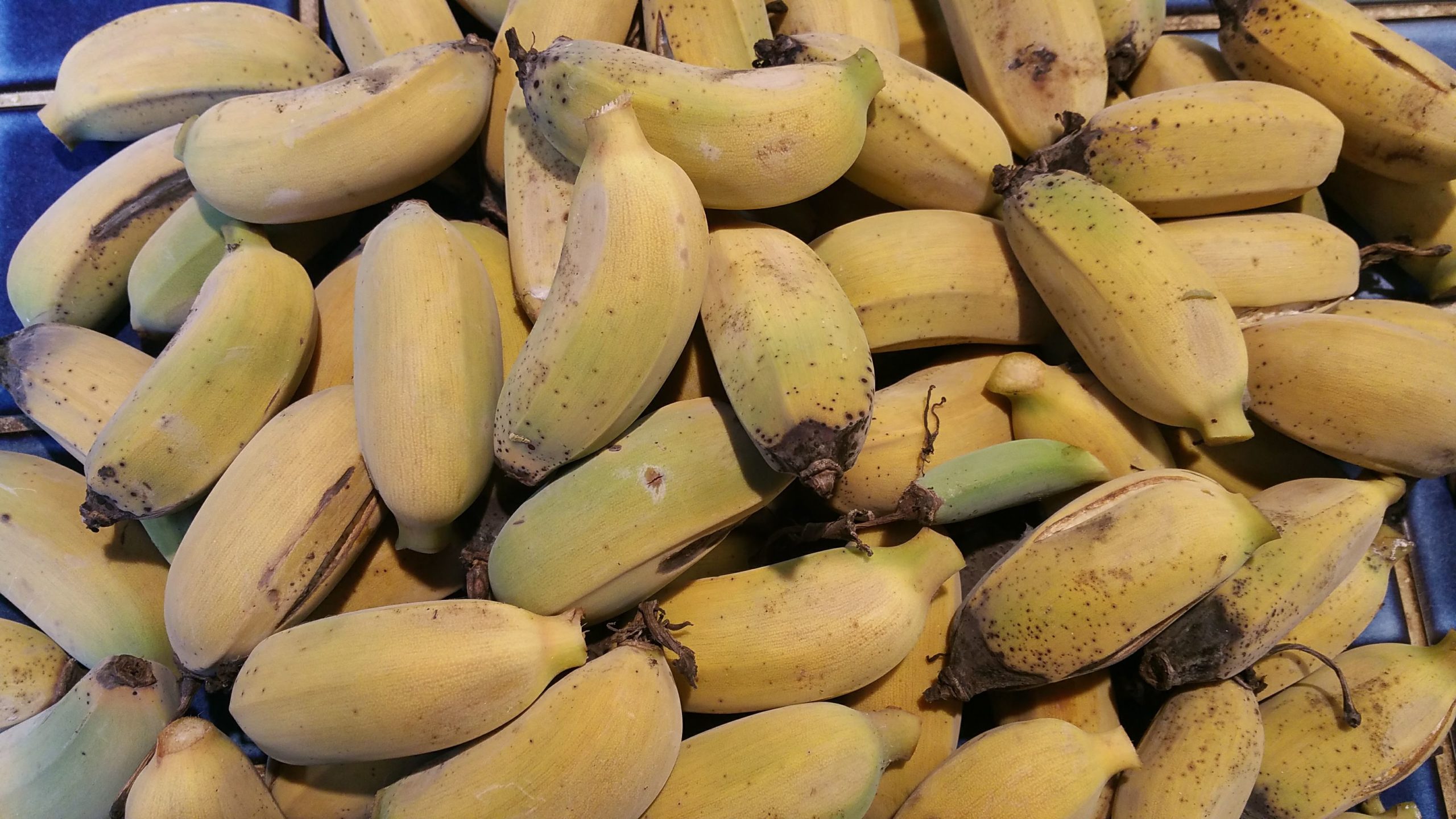 Bunch of Three Unpeeled Ripe Bananas by Sabelskaya