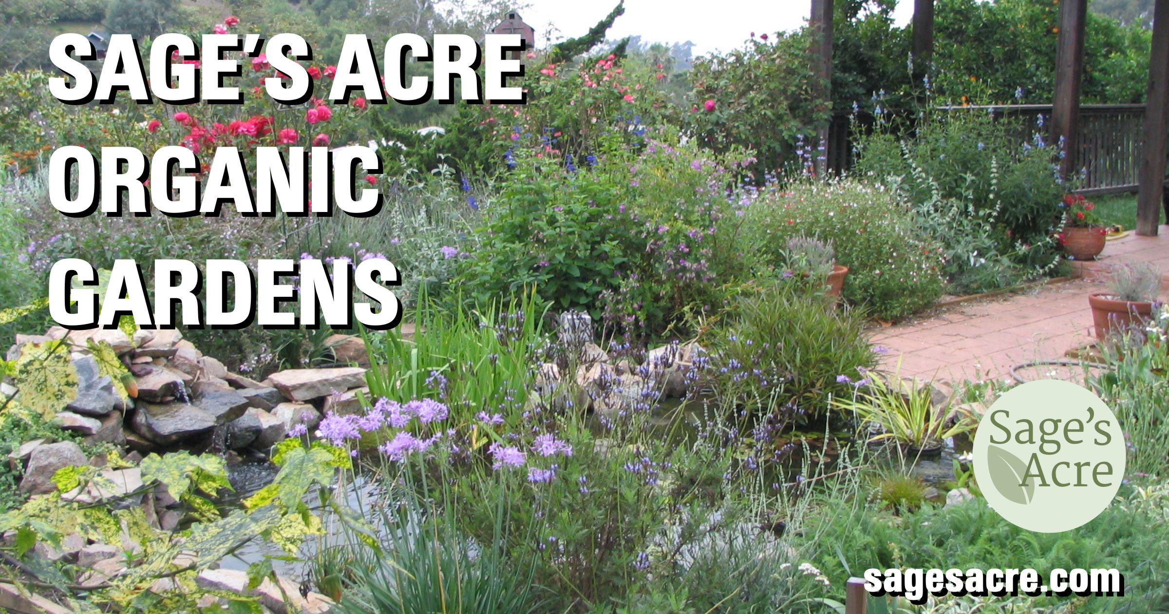 dillandcorianderseeds Sage's Acre