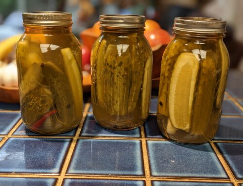 How to Make Old Fashioned Spicy Dill Pickles