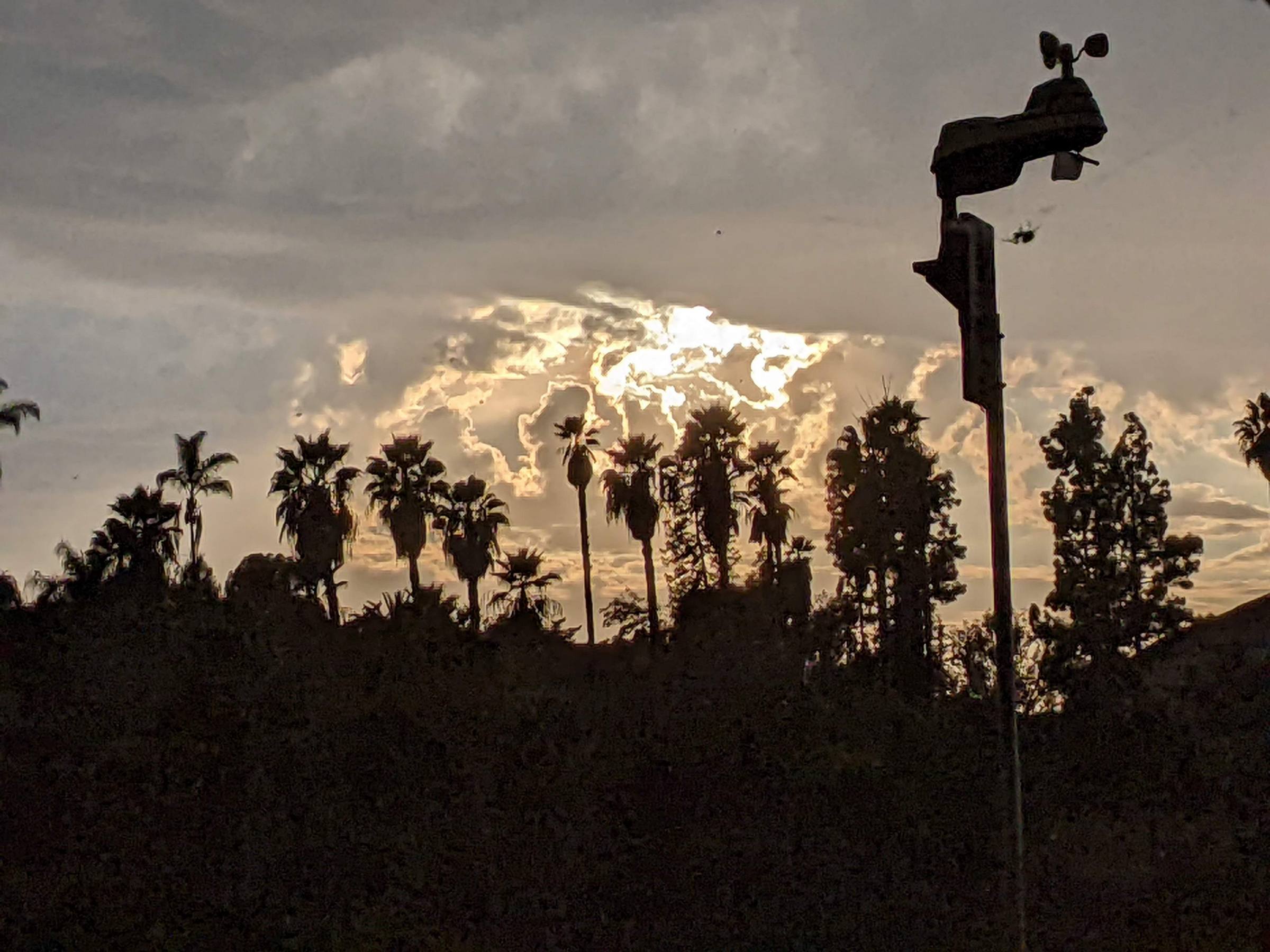 Sunset With Spider Silhouette | Sage's Acre