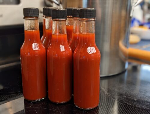 Batch 22 Hot Sauce – Entry 7 – Bottling Part 1