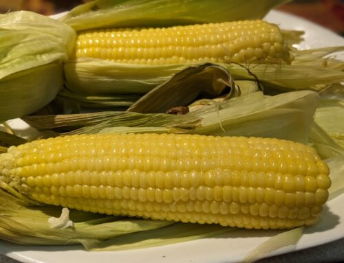 Sweet Corn and Summer’s Last Hurrah