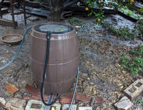 Why you should have a rain barrel (or two)