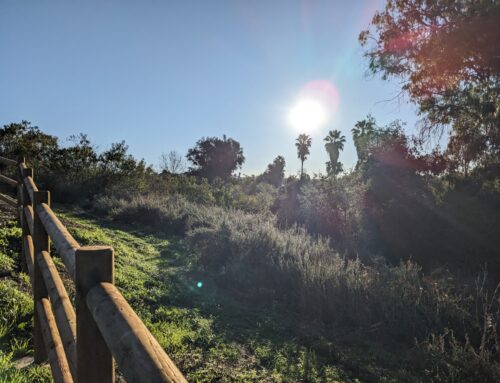 A Splendid Sunday Sunrise in San Diego