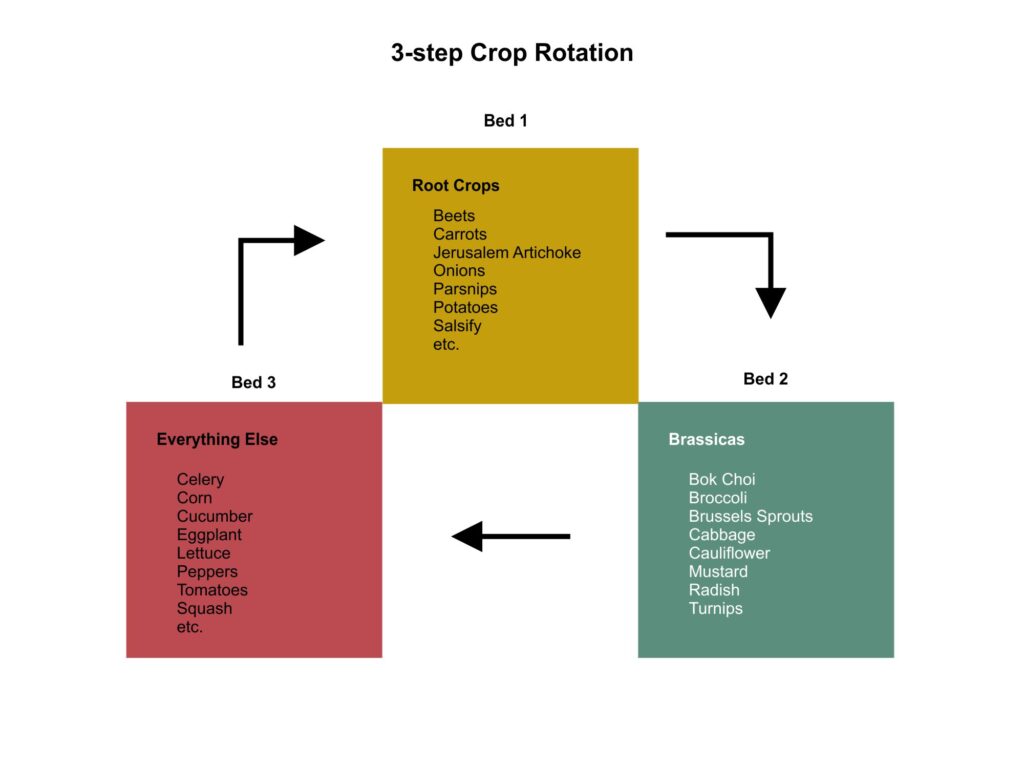 4 Crop Rotation Methods to Boost Your Veggie Garden Harvest