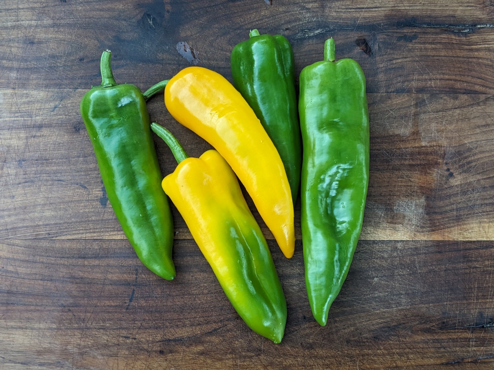 Italian Frying Pepper Review: Flavor, Yield and Growing Tips
