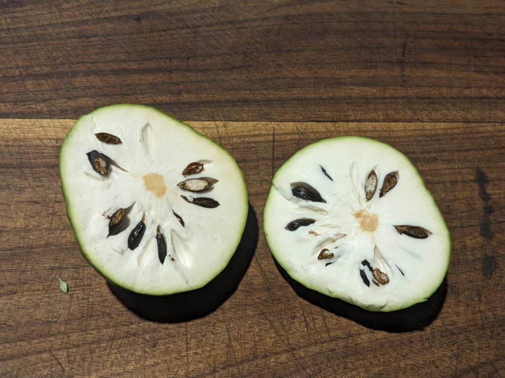 A cherimoya fruit cut in half to show the white flesh and black seed