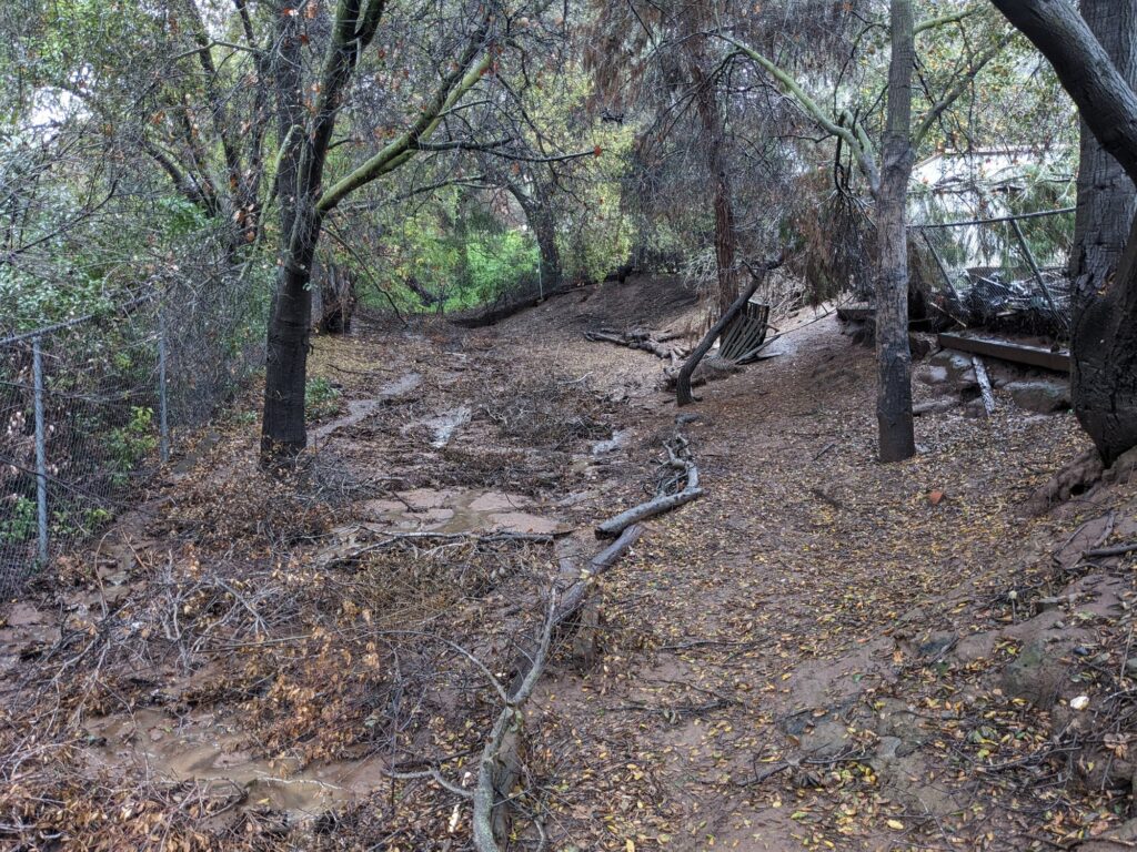 A small oak-lined valley with water running through it